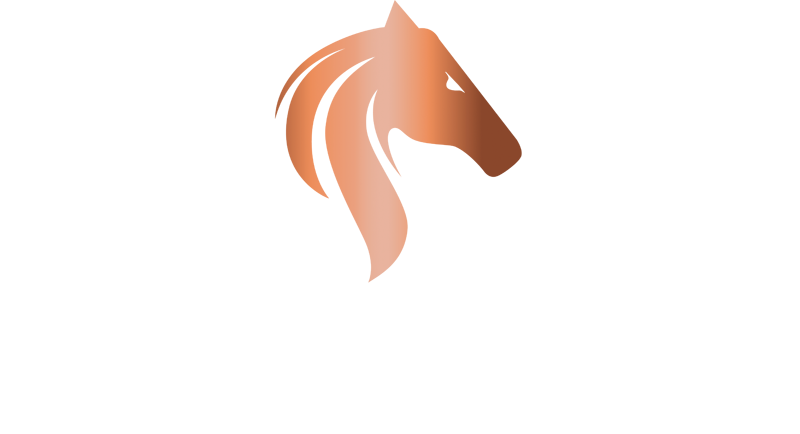 Player Amateur Tour